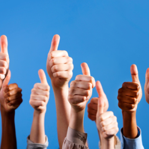 Quality accounting services