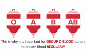 Singapore O Blood Type